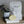Load image into Gallery viewer, Olieve & Olie - Body Oil Bar - Lime, Clary Sage & Lavender | milk + ginger