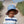 Load image into Gallery viewer, Acorn - Bucket Hat - Indie