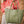 Load image into Gallery viewer, Louenhide - Panama Bag - Green | milk + ginger