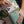 Load image into Gallery viewer, Louenhide - Billie Crossbody Phone Bag - Mint