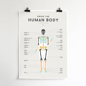 Squared Charts - Human Body | milk + ginger