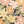 Load image into Gallery viewer, Wish - Blinding Lights Top | milk + ginger