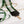Load image into Gallery viewer, Louenhide - Santana Guitar Strap - Silver Green