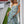 Load image into Gallery viewer, Barefoot Blonde - Pia Midi Dress