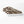 Load image into Gallery viewer, Walnut Melbourne - Chyka Sneaker - Black Leopard | milk + ginger