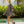 Load image into Gallery viewer, Blak - Chase Your Heart Dress - Black/Nude