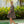 Load image into Gallery viewer, Blak - Chase Your Heart Dress - Black/Nude