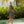 Load image into Gallery viewer, Blak - Chase Your Heart Dress - Black/Nude