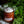 Load image into Gallery viewer, Natures Lab - Freesia Bath Soak