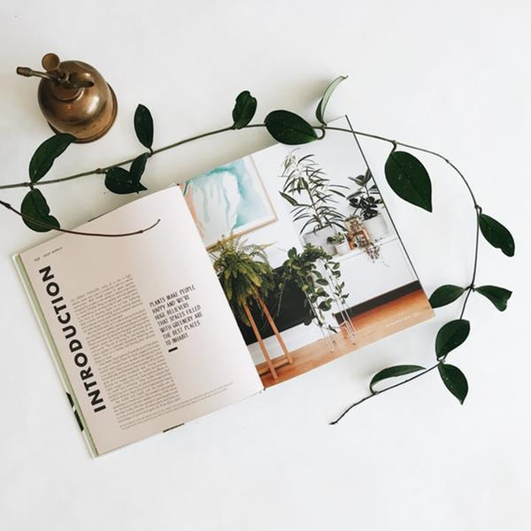 Lauren Camilleri - Leaf Supply | milk + ginger
