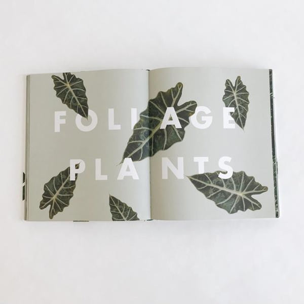 Lauren Camilleri - Leaf Supply | milk + ginger