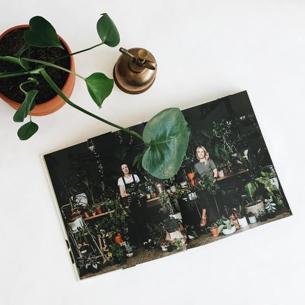 Lauren Camilleri - Leaf Supply | milk + ginger