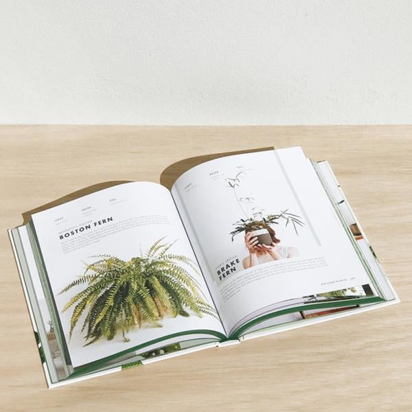 Lauren Camilleri - Leaf Supply | milk + ginger