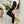 Load image into Gallery viewer, Louenhide - Baby Gracie Clutch - Nude