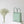 Load image into Gallery viewer, mimmi terra - Eco Utility Tote - Nerano