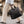 Load image into Gallery viewer, Louenhide - Rhodes Laptop Bag - Black
