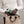 Load image into Gallery viewer, Memobottle - Bundle - Slim - Moss Green
