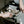 Load image into Gallery viewer, Memobottle - Daily Tote - A3 - Eucalypt
