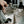Load image into Gallery viewer, Memobottle - Daily Tote - A3 - Eucalypt
