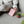Load image into Gallery viewer, Memobottle - Bundle - A6 - Cherry Blossom
