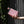 Load image into Gallery viewer, Memobottle - Bundle - A6 - Cherry Blossom
