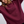 Load image into Gallery viewer, Elm - Established Crew - Plum
