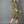 Load image into Gallery viewer, Eb &amp; Ive - Studio Midi Shirt Dress - Khaki
