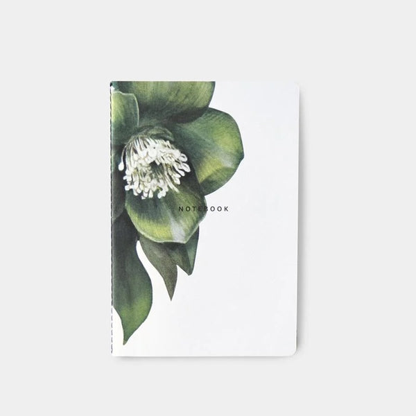 Father Rabbit - Notebook - Hellebore