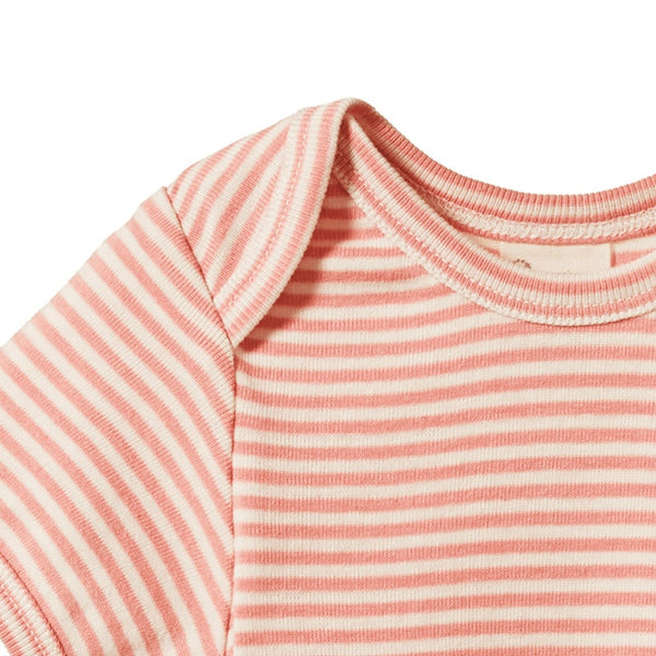Nature Baby - Short Sleeve Bodysuit - Peony Stripe